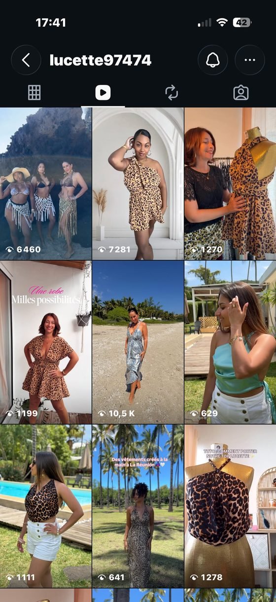Capture d'écran Instagram de Lucette&nbsp;: réels Instagram, vues par publication
