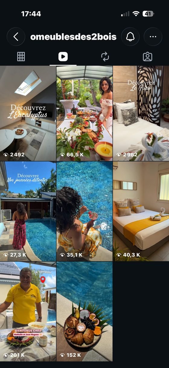 Capture d'écran Instagram de O’Meublés des 2Bois&nbsp;: réels Instagram, vues par publication