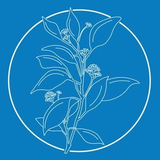 Logo Le Jardin de Ravintsara