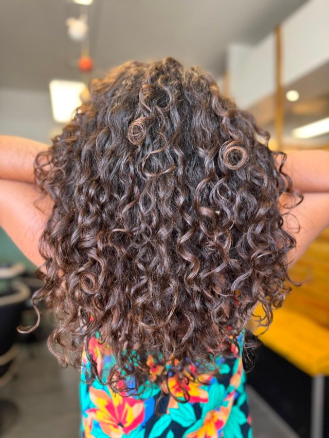 Boucles brunes serrées et définies, vues de dos en salon